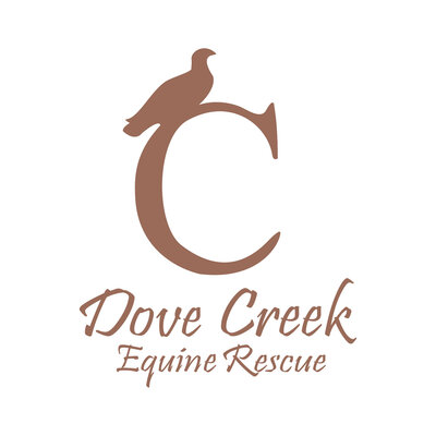 Dove Creek is an Equine Rescue that saves horses and provides healing therapy for people.
