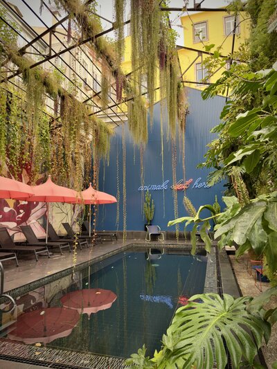 Serene garden pool area at Hotel Hotel in Lisbon, Portugal