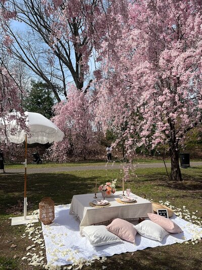 Romantic picnic setup under blooming cherry blossom trees with a styled table, pastel pillows, and a white fringe umbrella, designed by Yours Truly, a wedding planner and designer in New Jersey.