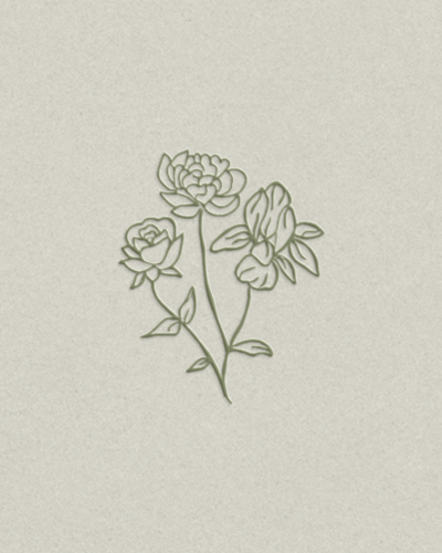 tlb launch graphics-14