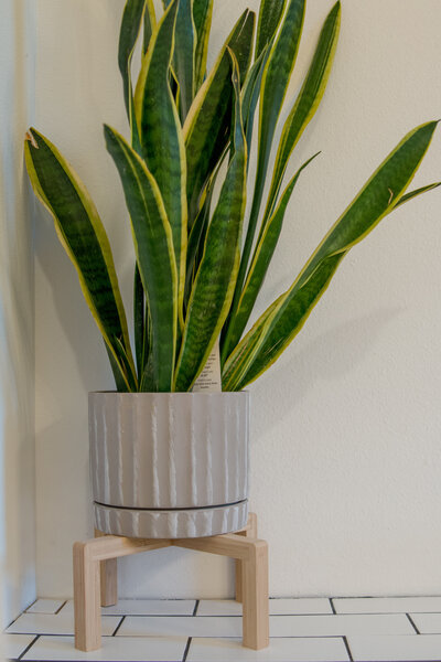 Roo Design Collective full-service interior design in Little Rock Arkansas