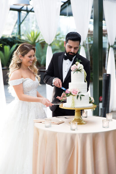 Bride and groom cutting wedding cake