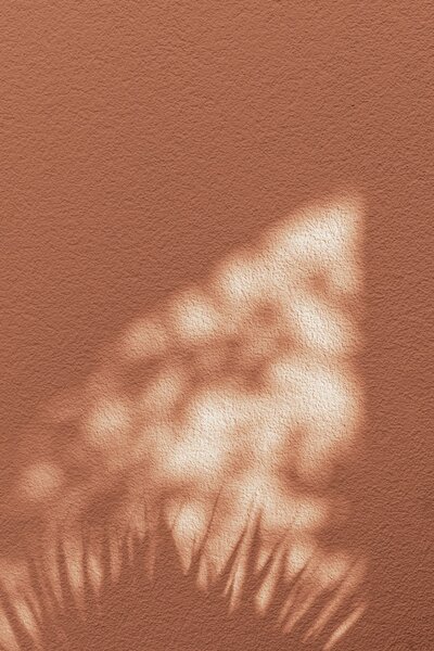 Blurry sunlit silhouette of an abstract shape on a peach-colored wall, adding a soft and dreamy effect