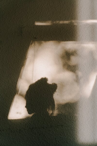 Shadowy sepia photo of the silhouette of a young woman