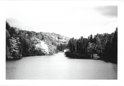 a landscape with water and trees in black and white. 