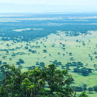 uganda 2