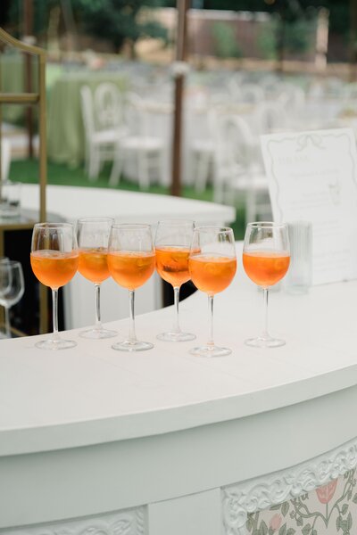 Old Edwards inn  wedding
