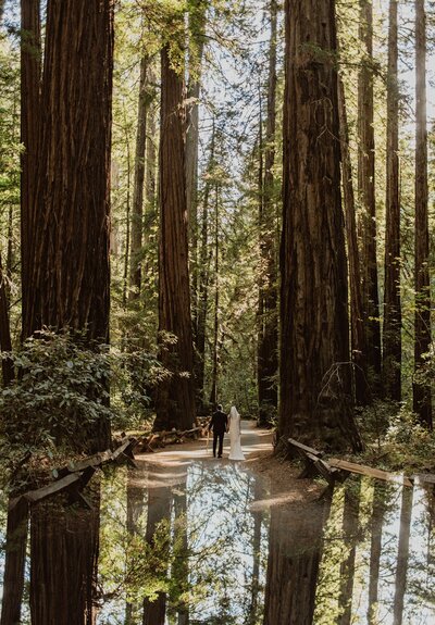 A couple walks together in the sun-dappled old-growth redwood forest on their wedding day