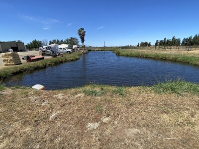 Pond after chemical treatment with clear blue water