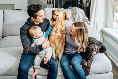 A family sits on a couch, smiling and interacting with their two dogs. The father holds the baby, who reaches out towards a golden retriever, while the mother and another dog cuddle nearby.