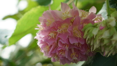 C12A4747-DD3D-4B90-B88A-98B13CEE20F1_4_5005_c