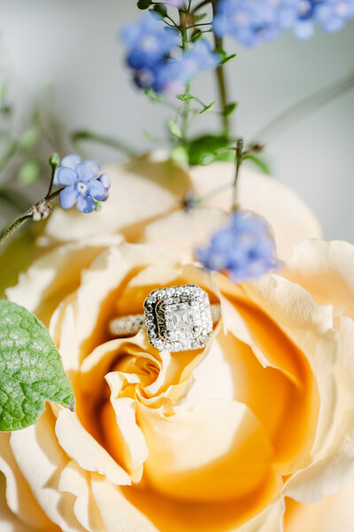 engagement ring detail