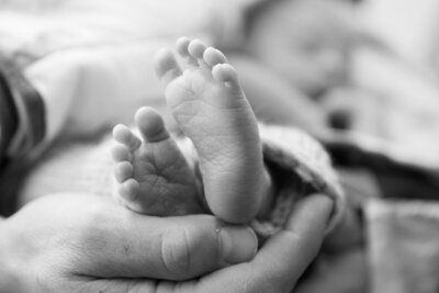 Baby's Feet in Black & White photo | Maine Newborn Photography