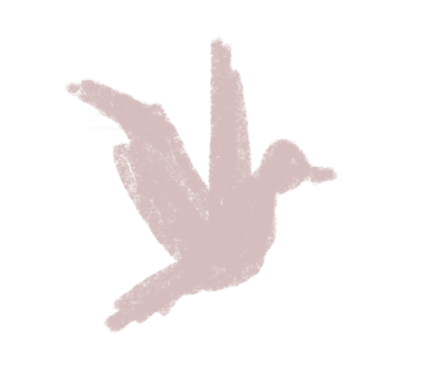 Illustratie_Vogel_Roze