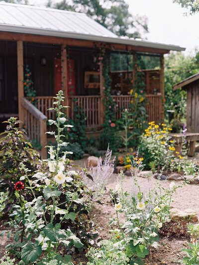 One of the cabins available at Paint Rock Farm, with a screened in porch and a variety of thriving flowers growing in the yard in North Carolina, by photographer Megan Lynn of My Sun and Stars Co.