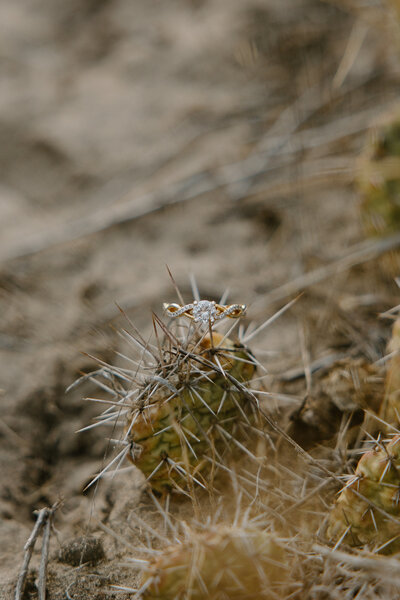 TELISABETHPHOTO.COM-4284