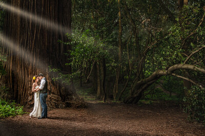 bride-groom-forest-redwood-tree-epic-