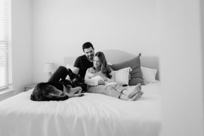 Newborn photography family photo woman with husband baby and dog on bed in Tampa Bay, Florida Nadine B Photography