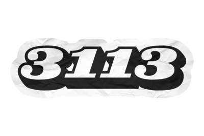 3113 logo