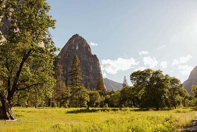 Yosemite meadow