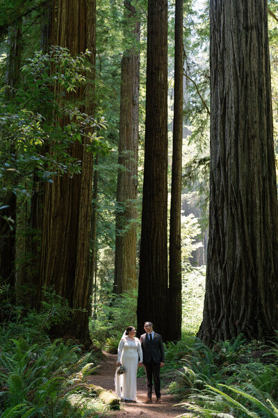 Elopement in Redwood National Park