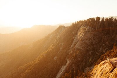 Sequoia National Park at sunset