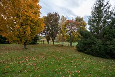2295 Regional Rd 3 property (10)
