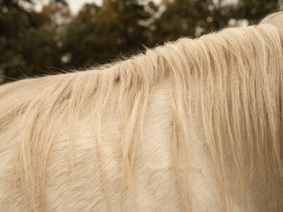 Farm&FirCo2024_Finals-7