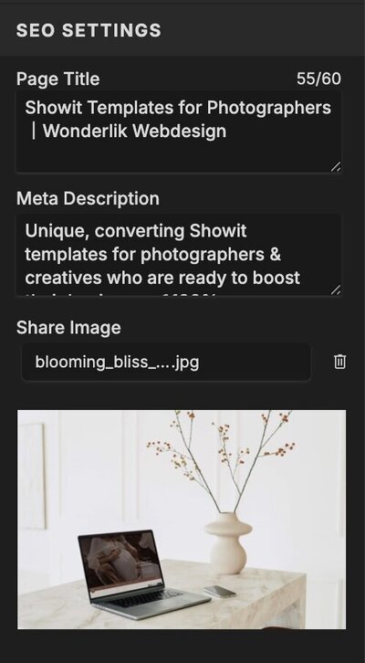 Showit SEO tool for page title and meta description