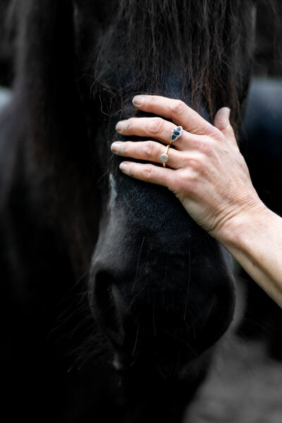 Hand op neus van paard. Fotografie door Dorien Paymans | Studio Ensō Groningen ©
