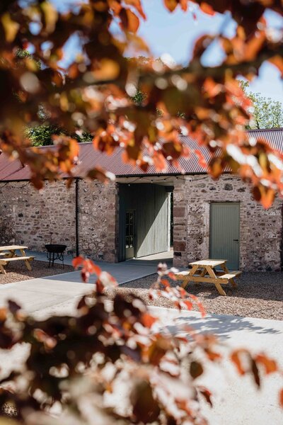 An old barn courtyard is photographed through the branches of a tree. The space is newly renovated.