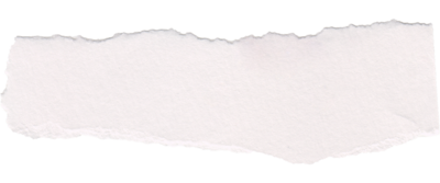 Torn paper web element