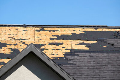 Exposed plywood showing pre-repair condition.