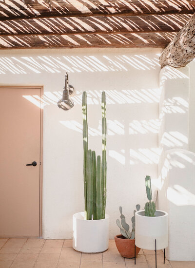 Emmy-de-Leon_Branding-Shoot_Desert-Magic_1
