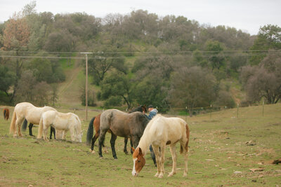 2021-03-08 HOW - Kori + Jared Photography-154