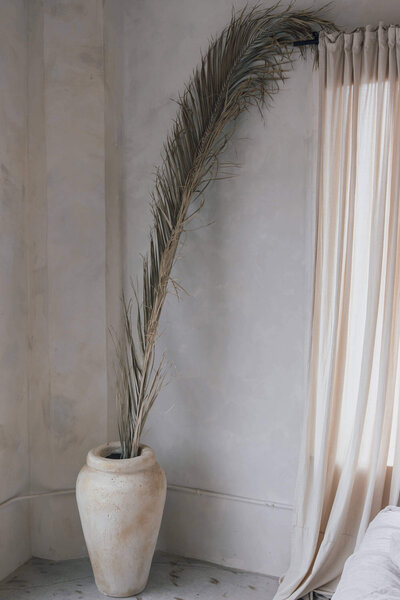 Fancy plant decor in modern home