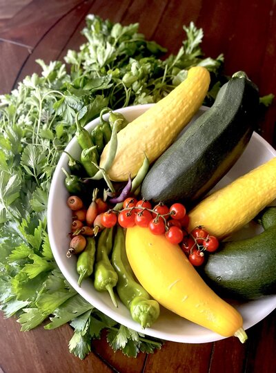 A bowl of squash, peppers, tomatoes, and green beans next to a pile of herbs grown in the garden.