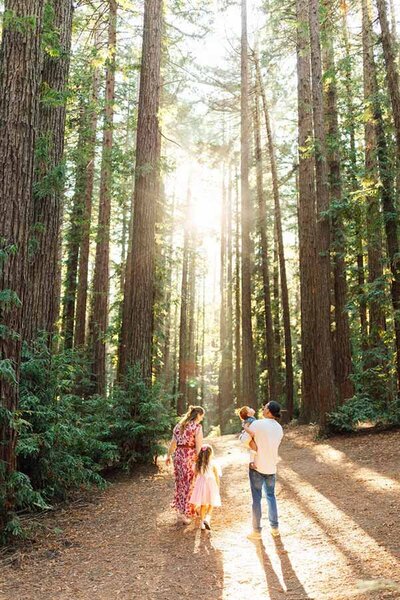 Redwood Family 