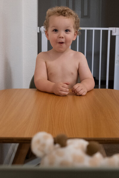Black and white artistic photograph of a horse's head between another horse's legs