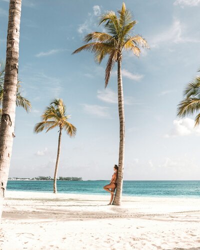 woman leaning against palm tree on beach
