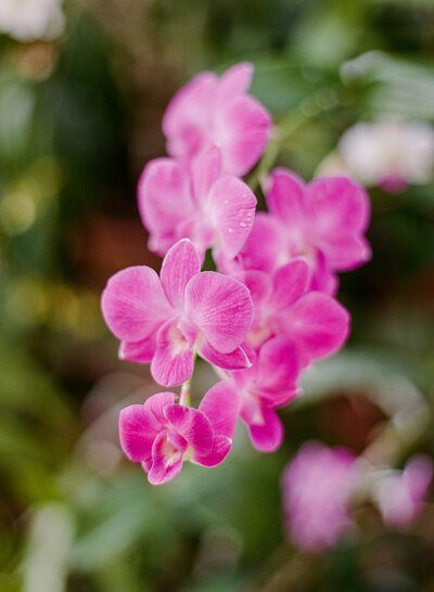 RYP_KJ_RD-021