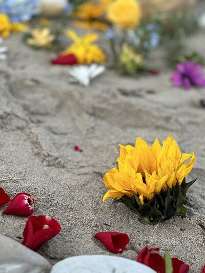 Mandala on the beach with yellow sunflower, red petals, and sand