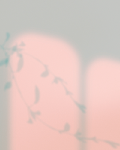 Delicate leaf shadows cast on a window, symbolizing calm, clarity, alignment, and the peaceful environment that supports Main Character Energy, personal growth, and self-love embodiment.