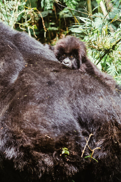 rwanda_leila_brewster_photography_1248