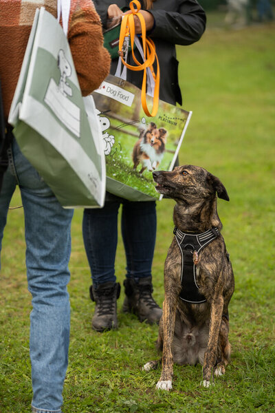 Bezoekers ontvangen goodiebags van hoofdsponsor Platinum tijdens Just Woofing