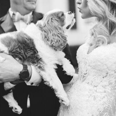 2211-marshall-gill-pawleys-island-wedding-203