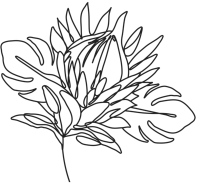 DWD Brand Asset