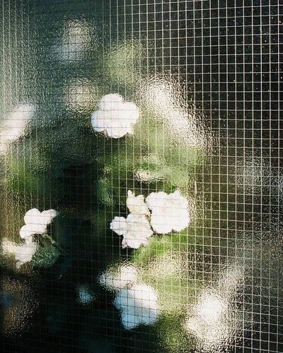 _ - 2025-12-07T125204.283