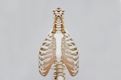 kiné cardio respiratoire
