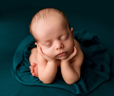 baby in basket with greenery surrounding